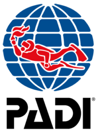 PADI certification, diving in Jordan